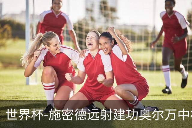 世界杯-施密德远射建功奥尔万中框 半场奥地利1-0约旦